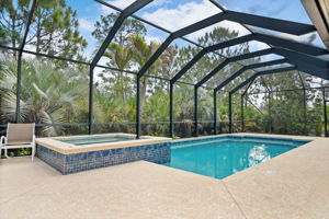 Screen-In Pool & Hot Tub