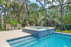 Screen-In Pool & Hot Tub