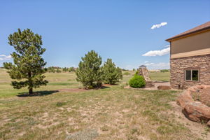  Photo 47