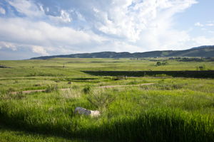  Photo 44