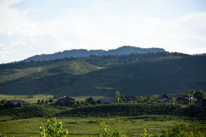  Photo 61