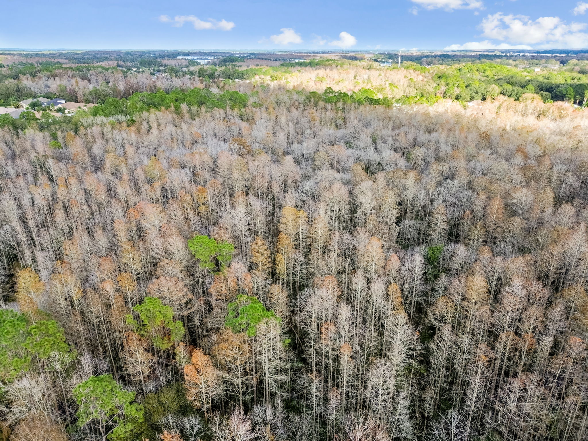 DJI_0548