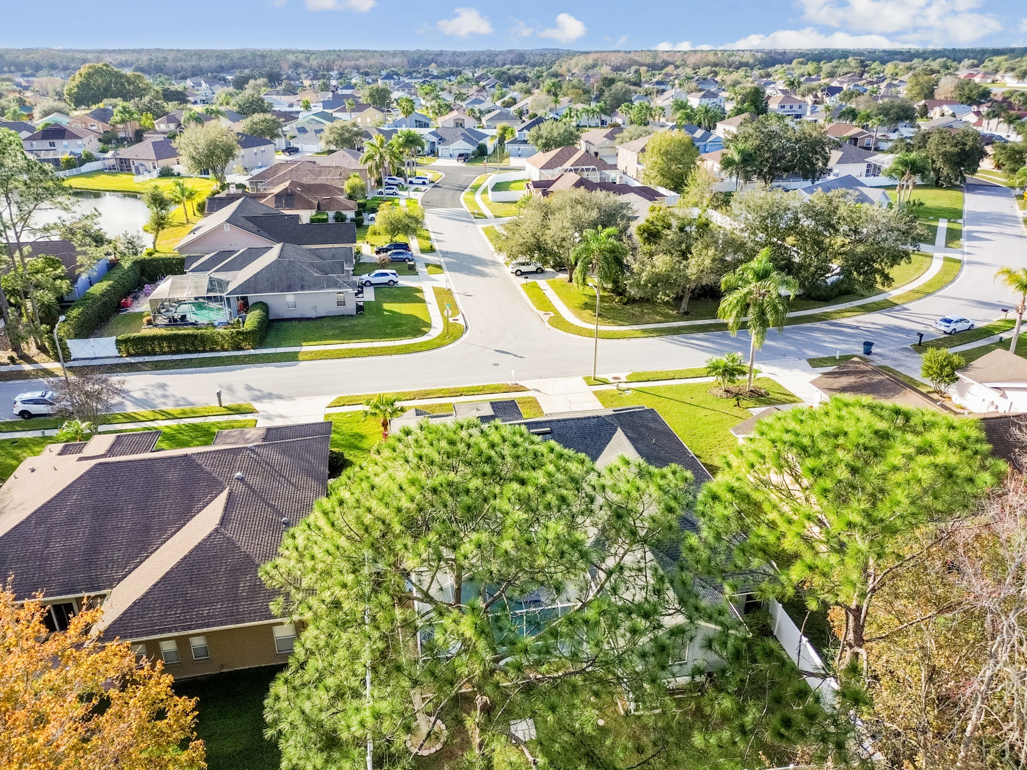 DJI_0581