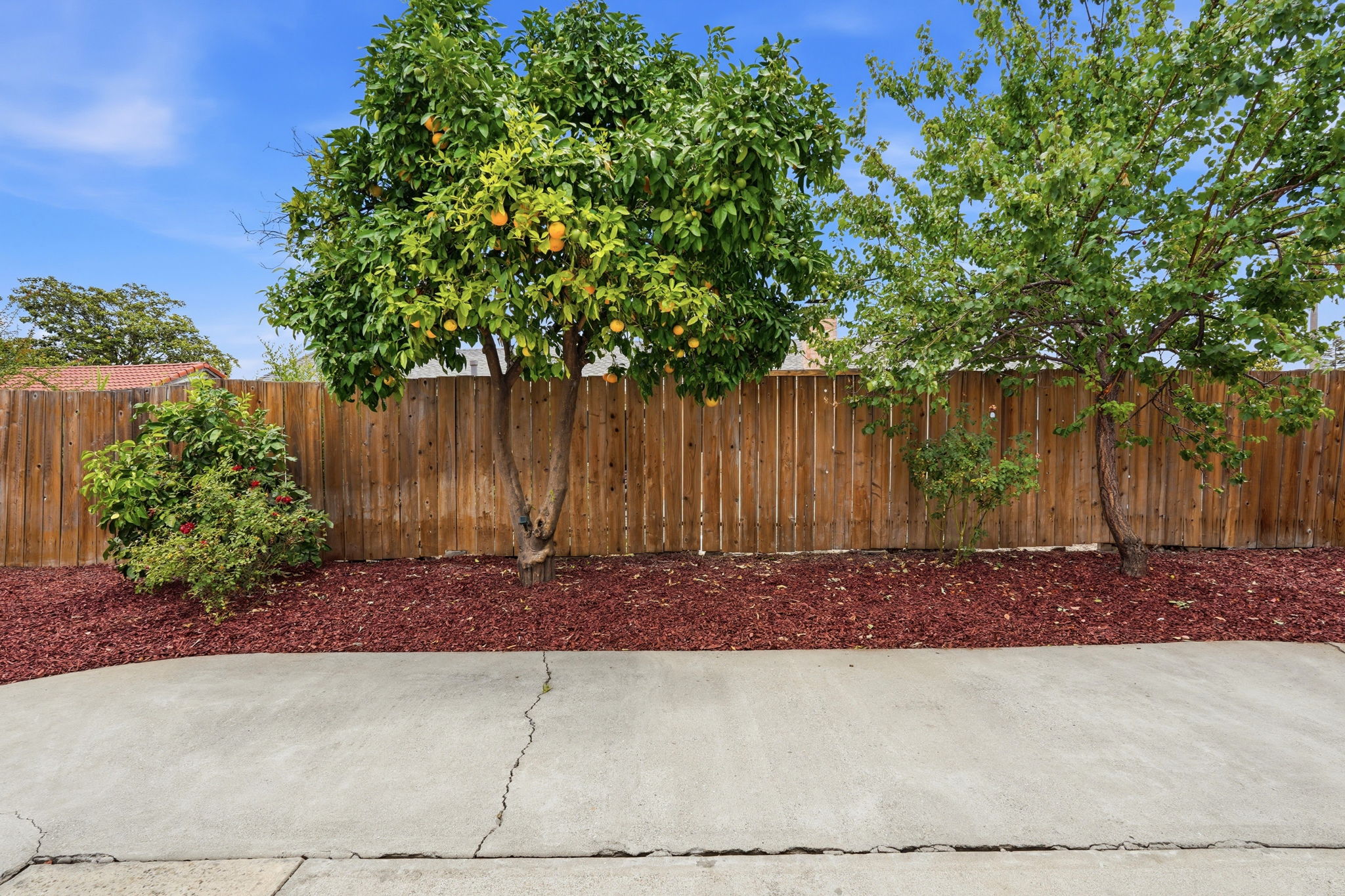 036_F8_4838 Snell Ave