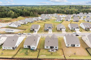 New neighborhood! Imagine the beauty of trees now planted!