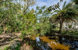 Front Pond View 1