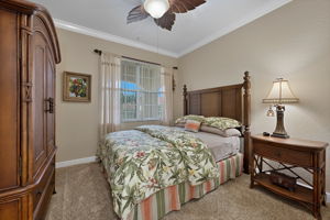 Guest Bed