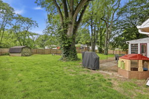  Photo 46