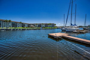 Dock7