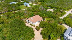 Aerial 7