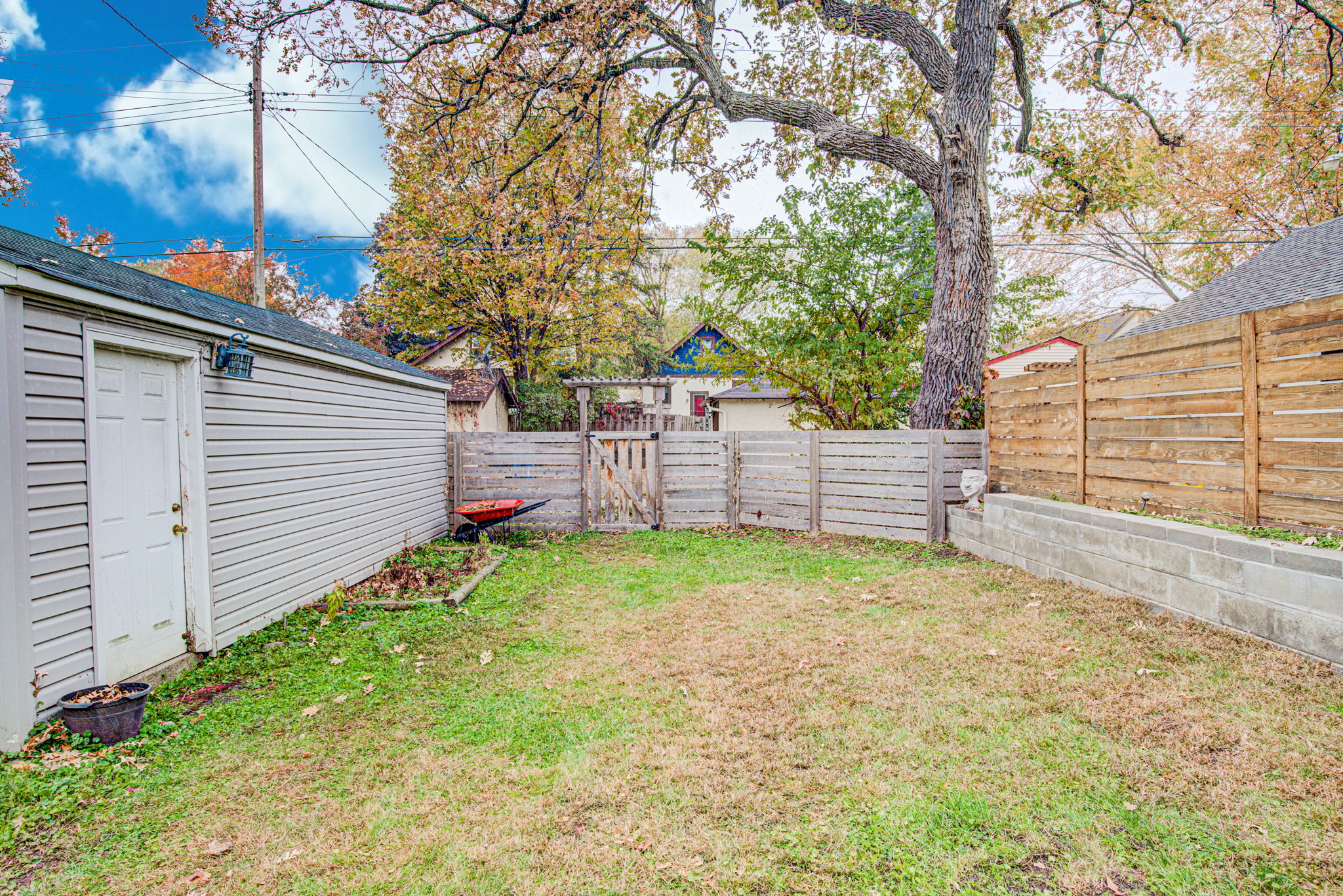 Backyard