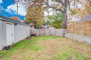 Backyard