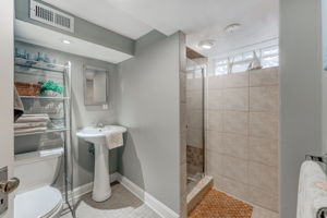 Lower Level - Bathroom