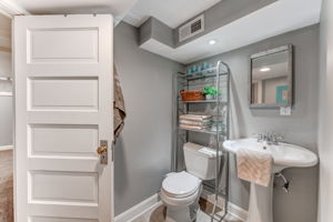 Lower Level - Bathroom