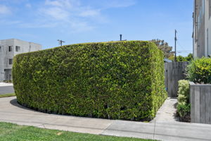 4852 S Centinela Avenue-8