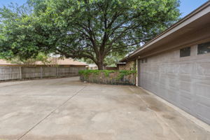 Huge Live Oak of Larger Unit