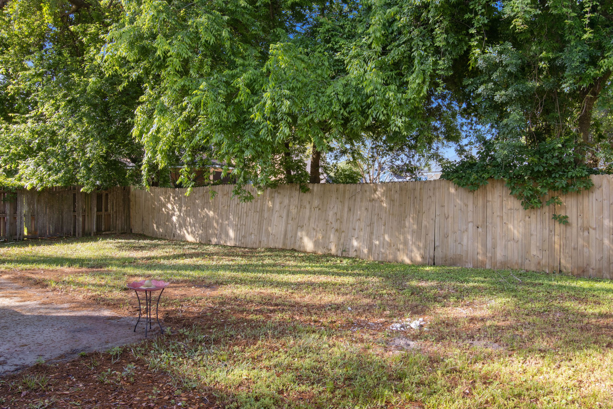Back Yard