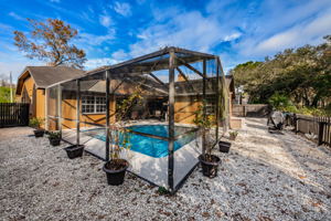 Backyard1