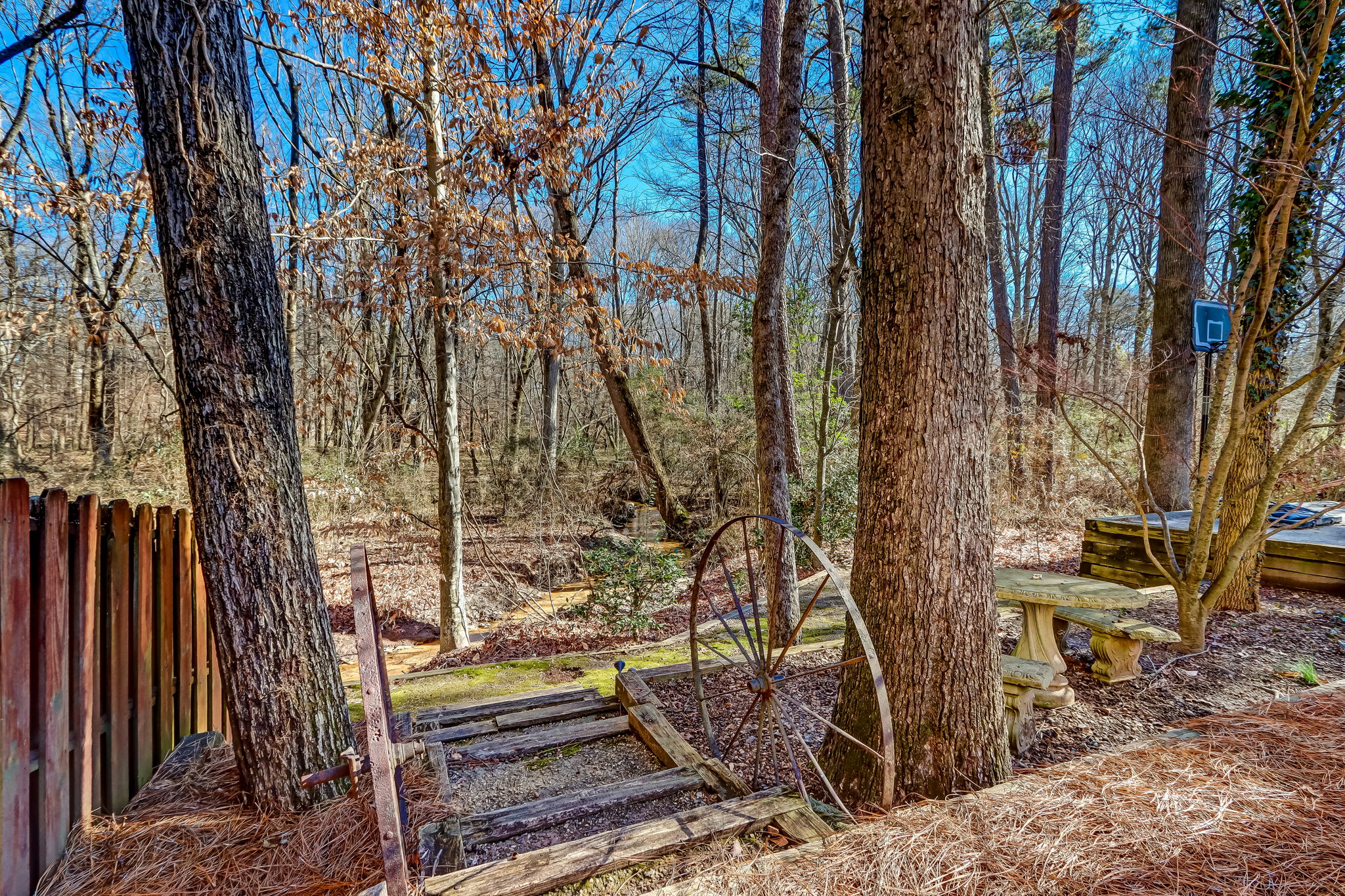 Backyard