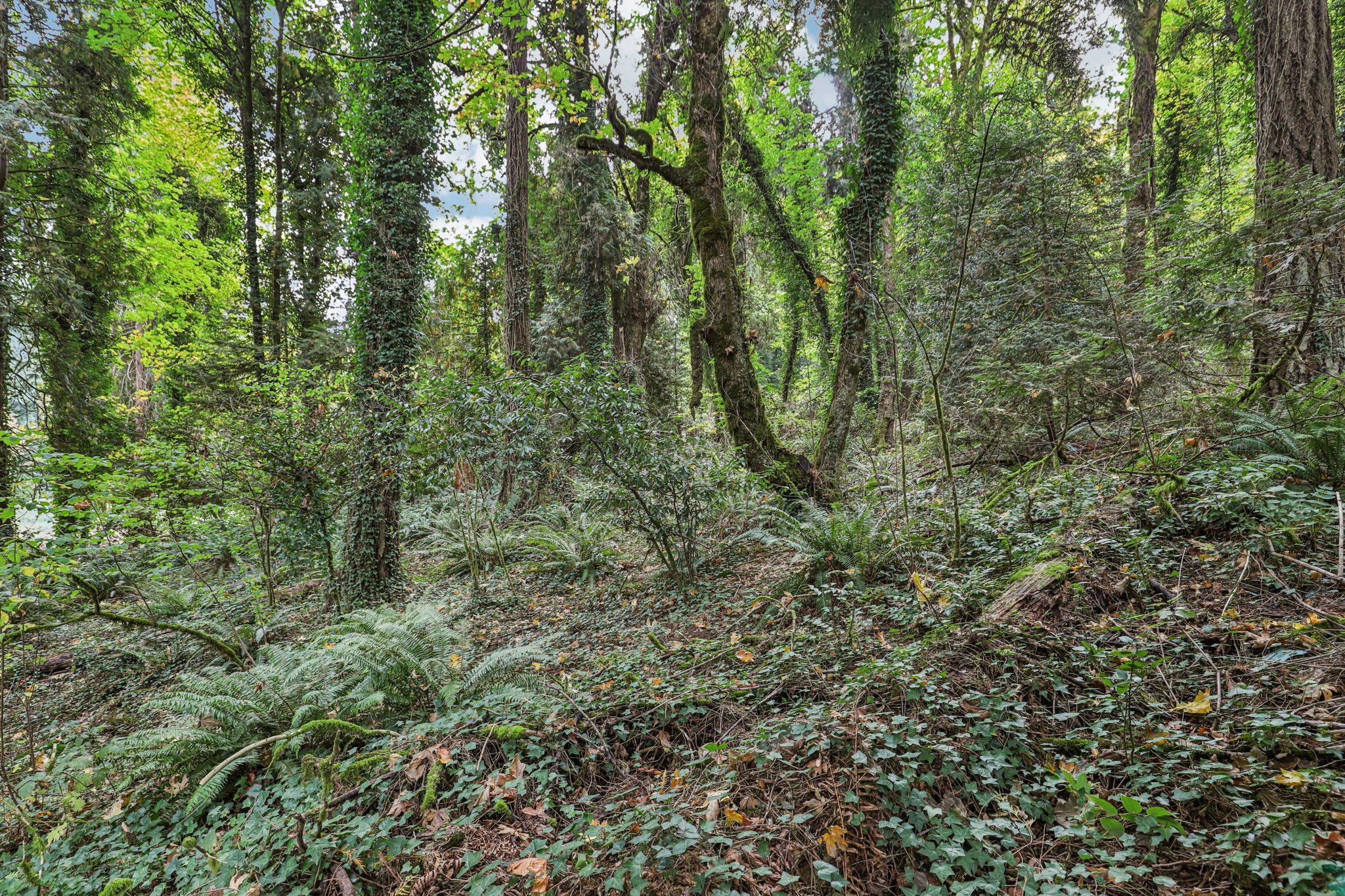 SE Aldercrest Rd-S2310-073.jpg