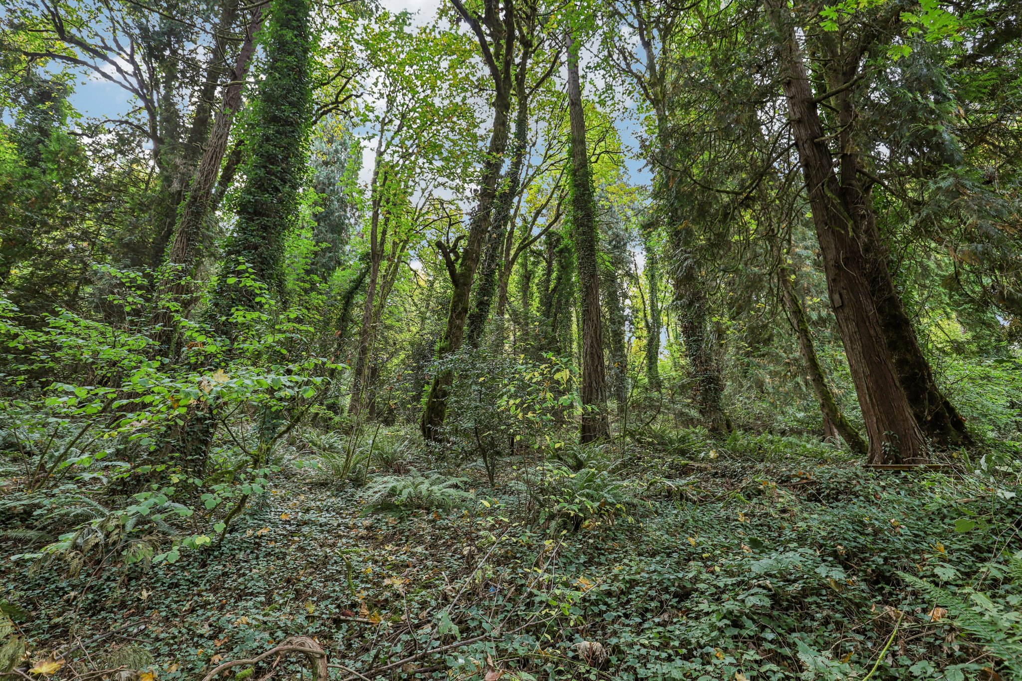 SE Aldercrest Rd-S2310-077.jpg