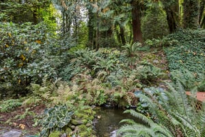 SE Aldercrest Rd-S2310-075.jpg