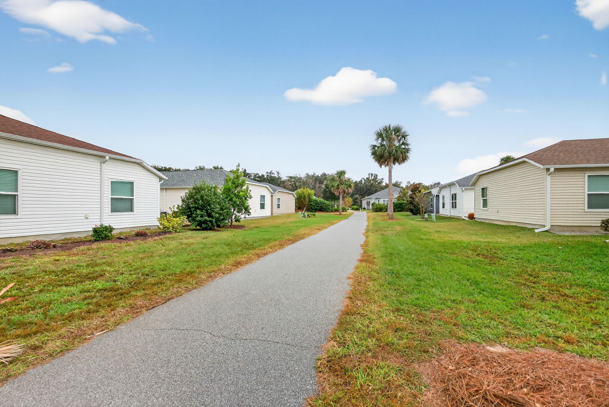 Walking and Bicycling Trails Behind Home
