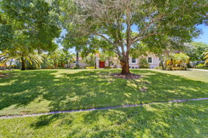  Photo 0