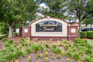 Blackwood Forest
