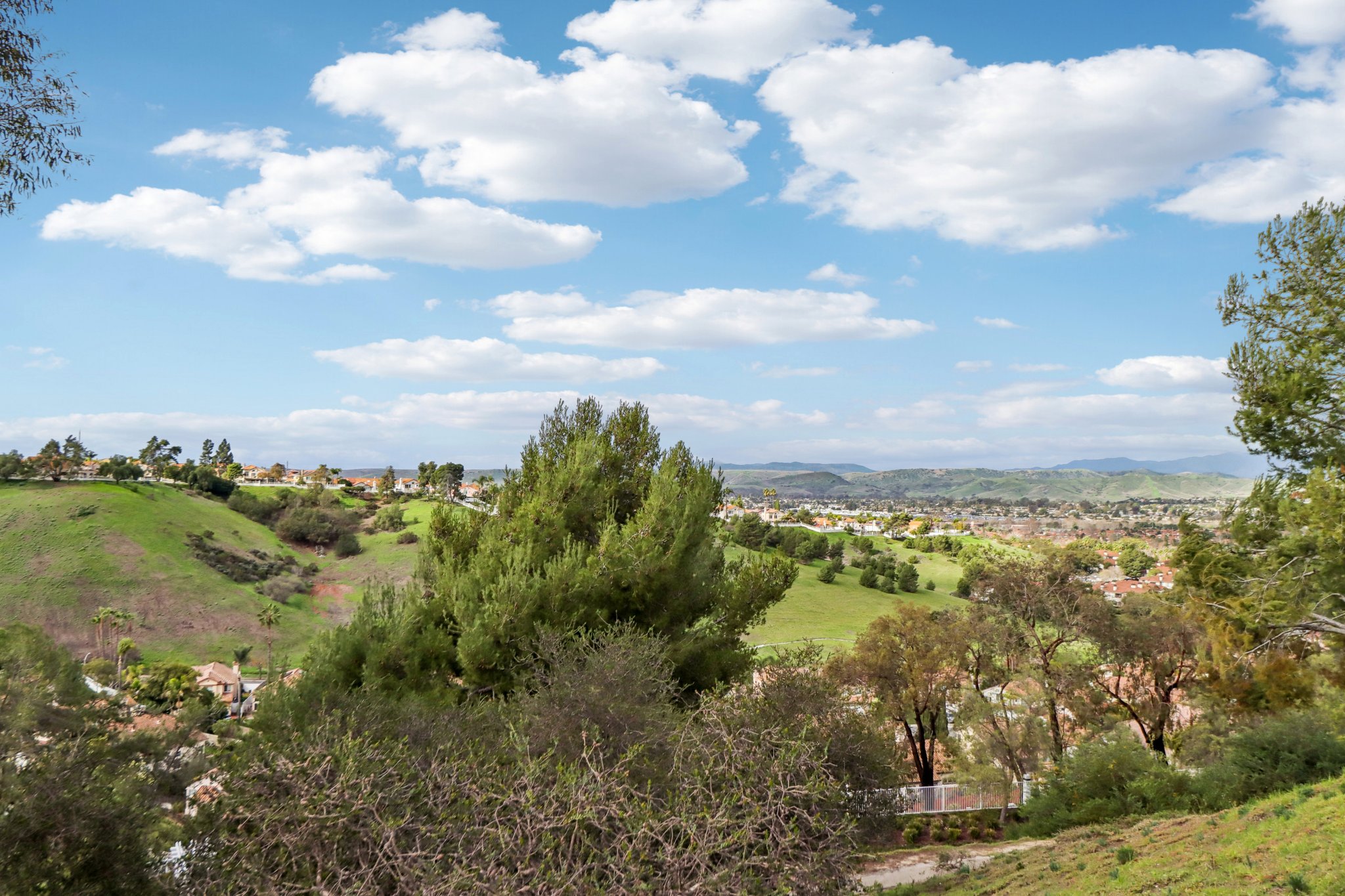 Baroque Ter-S0501-049.jpg