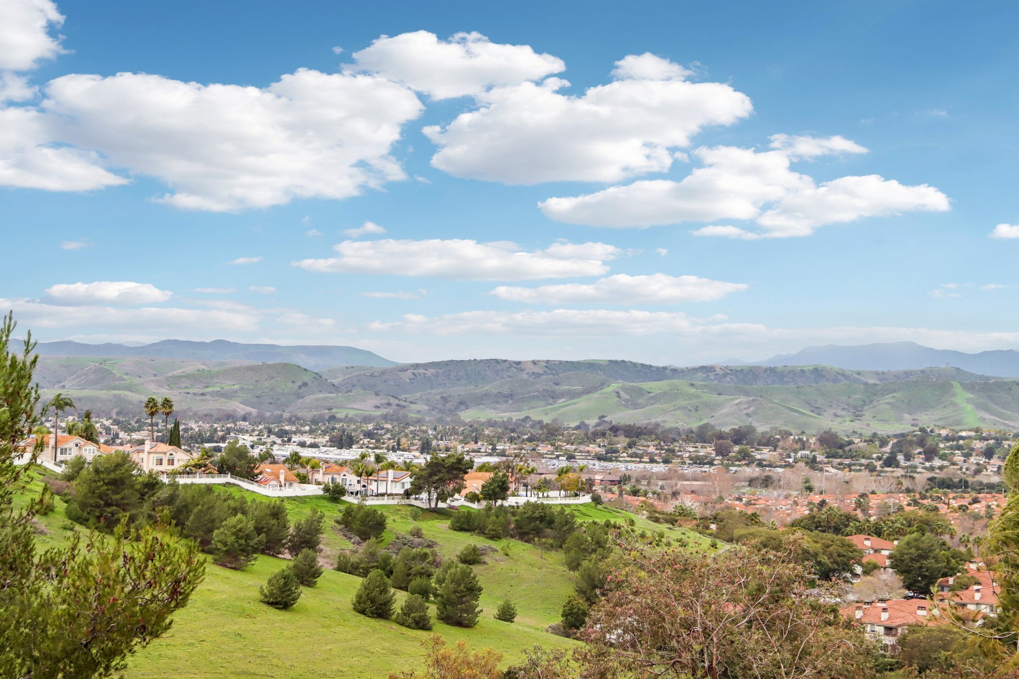 Baroque Ter-S0501-059.jpg