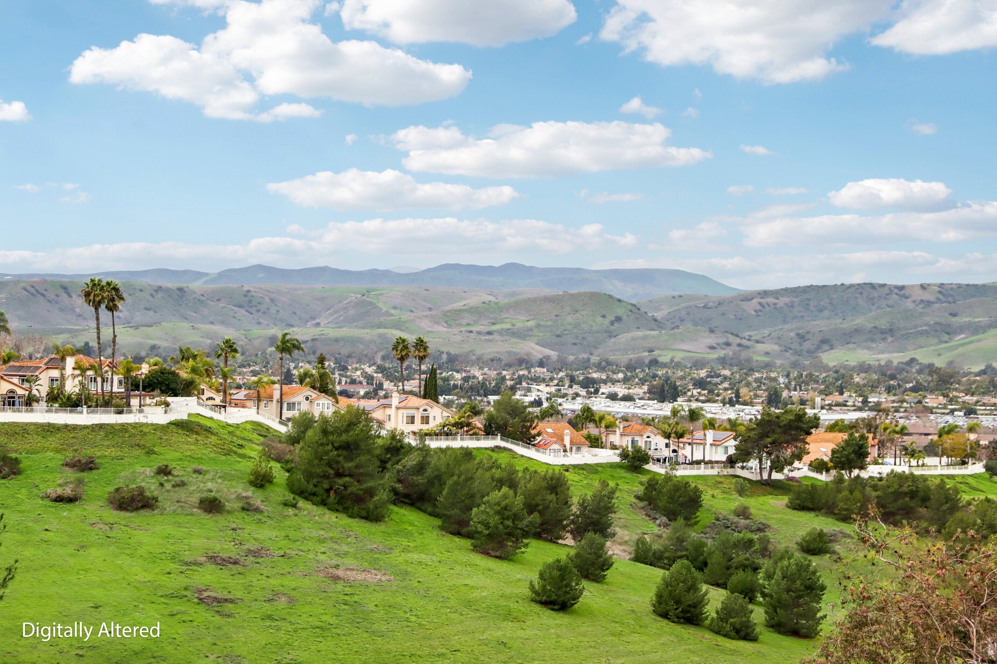 WA-Baroque Ter-S0501-058.jpg