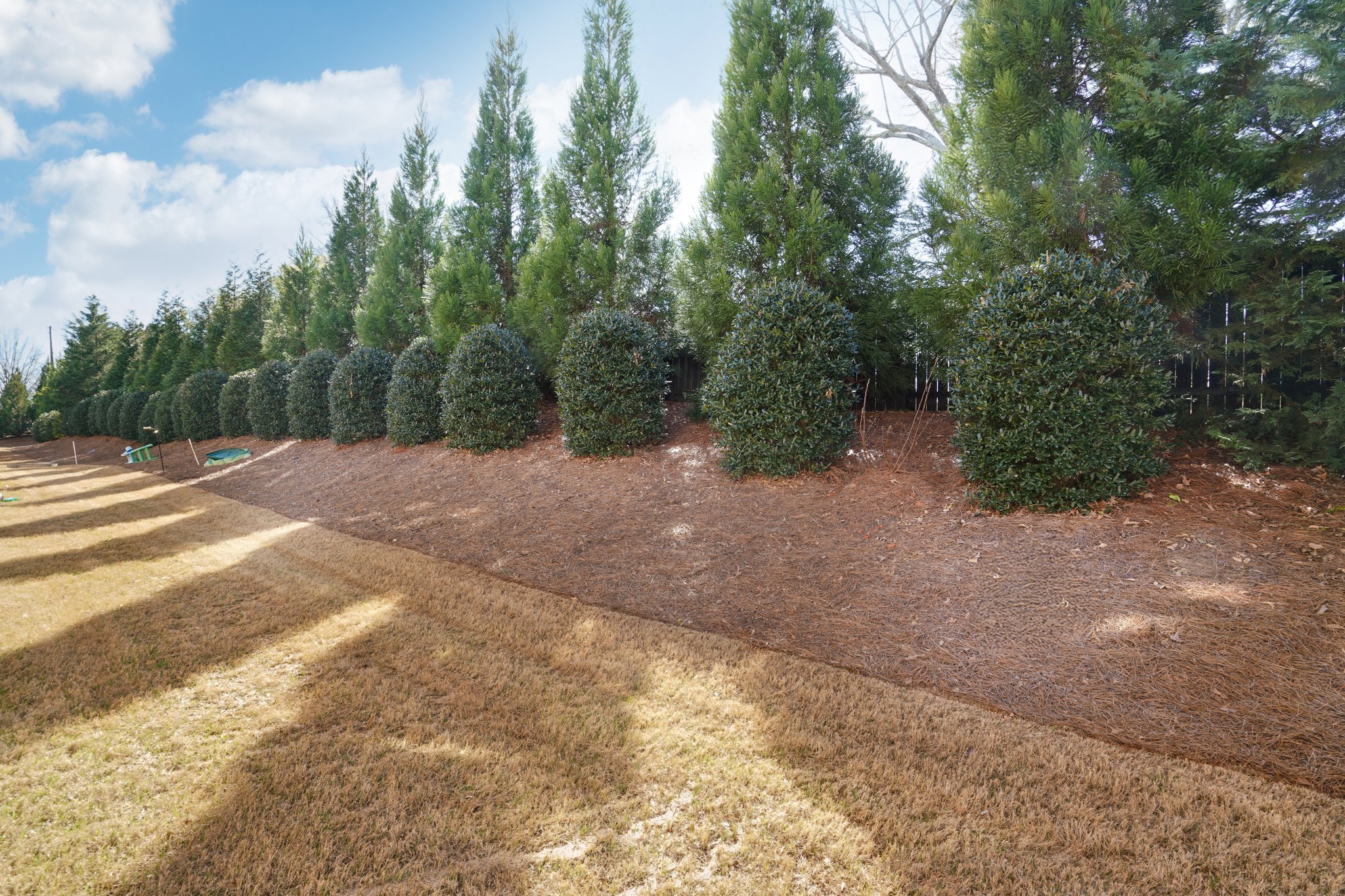 Wil Ray Ln-S1403-003.jpg