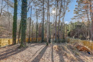 Windsor Downs Dr-034