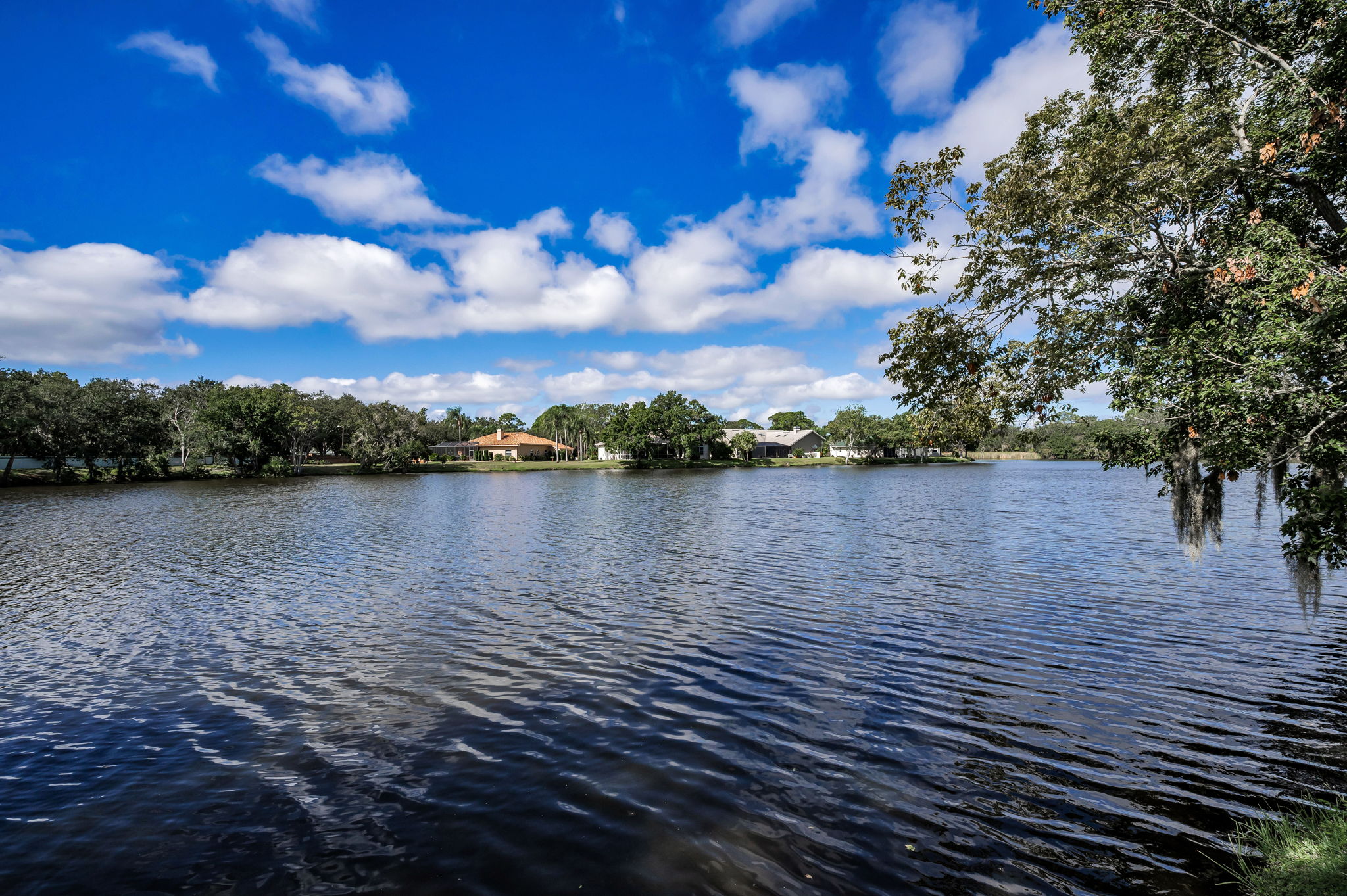 Backyard8 Water View