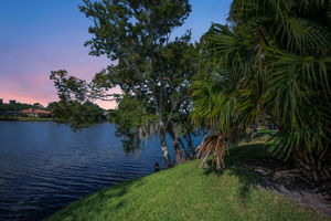 Backyard5