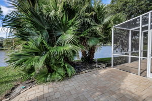 Patio3