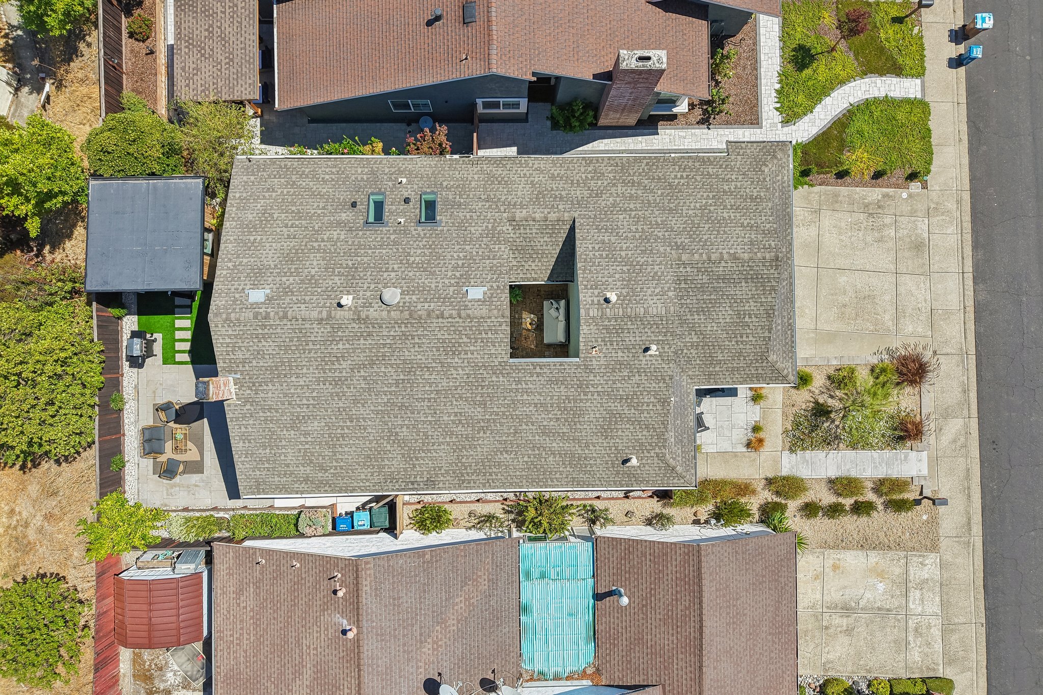 Birdseye