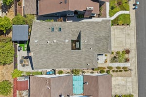 Birdseye