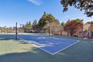 Volleyball Court