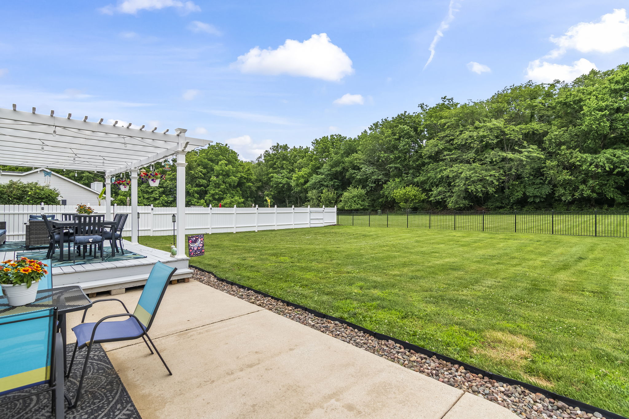 Back View