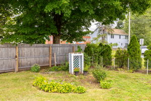  Photo 49