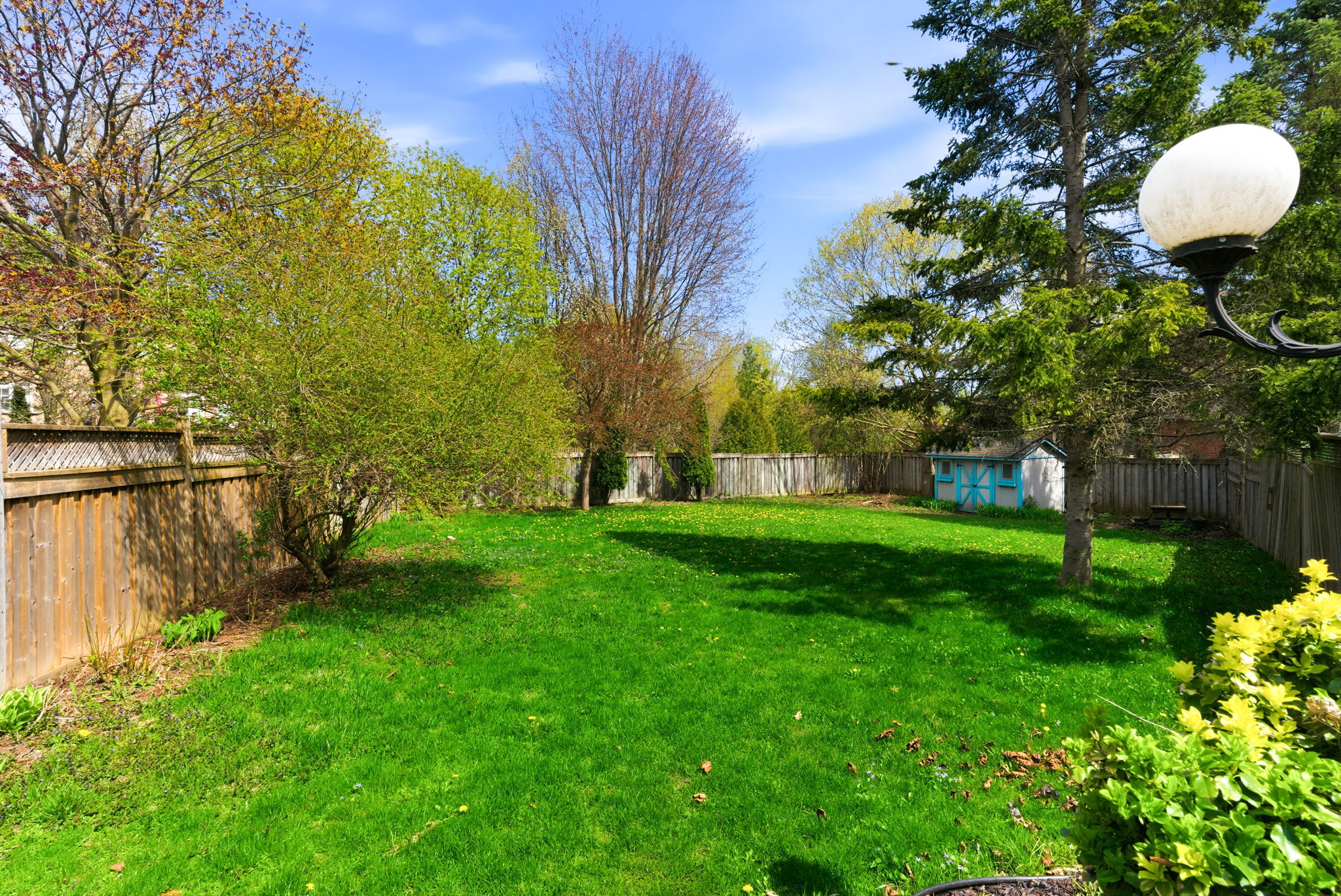 Photo 60