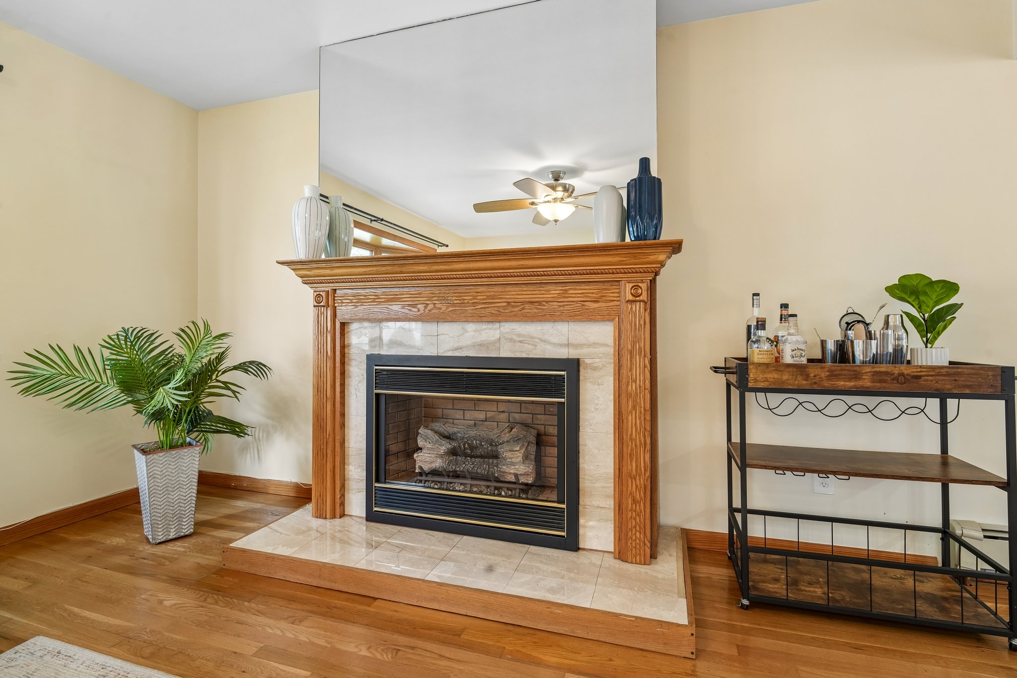 Gas Fireplace with Marble Surround