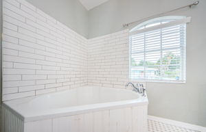 Master Bathroom 1b