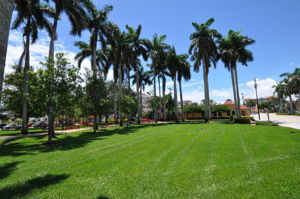  Photo 48