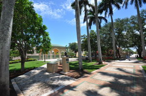  Photo 49