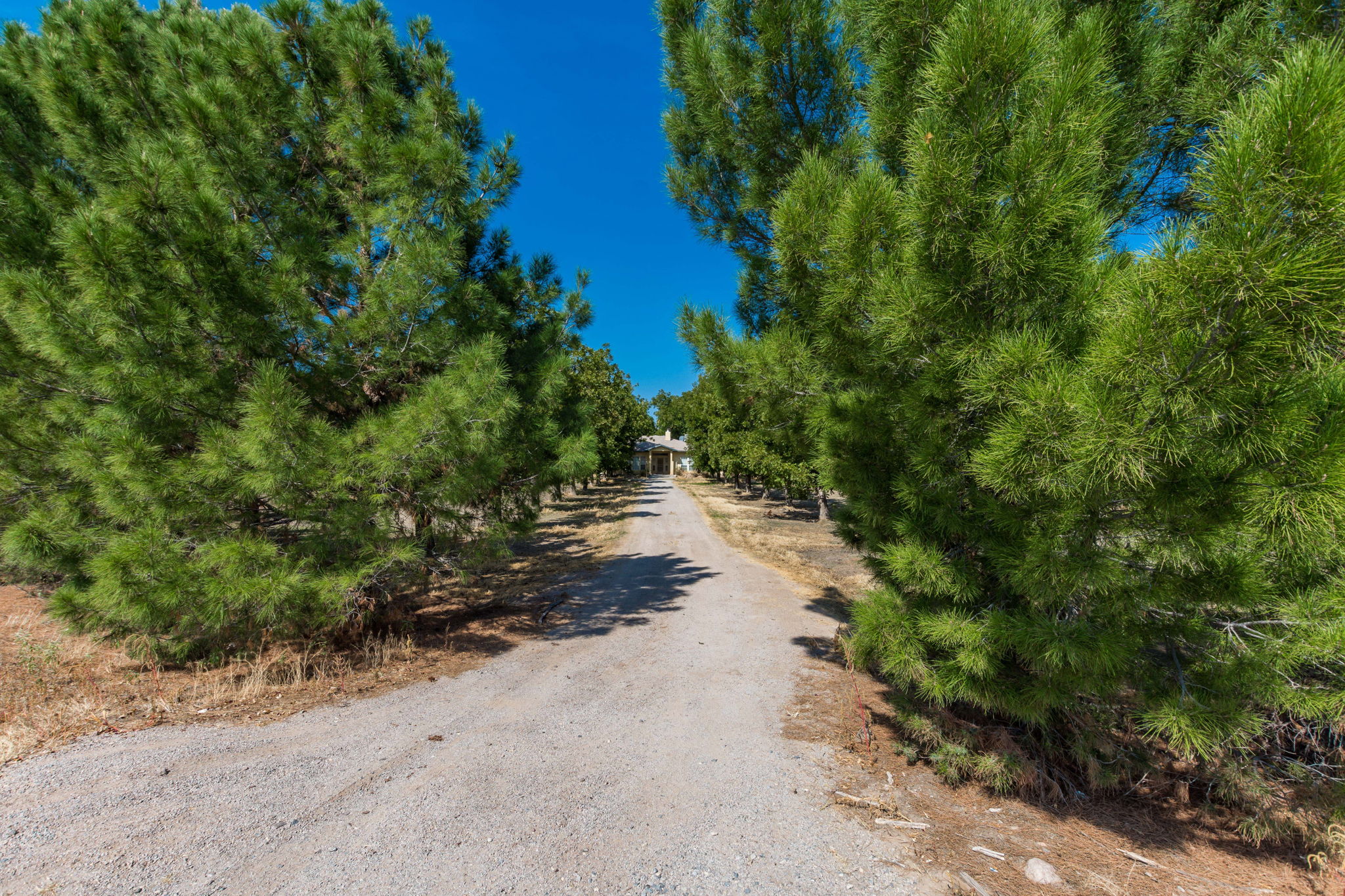 490 Onnies Acres Rd, La Mesa, NM 88044 Snappin Homes