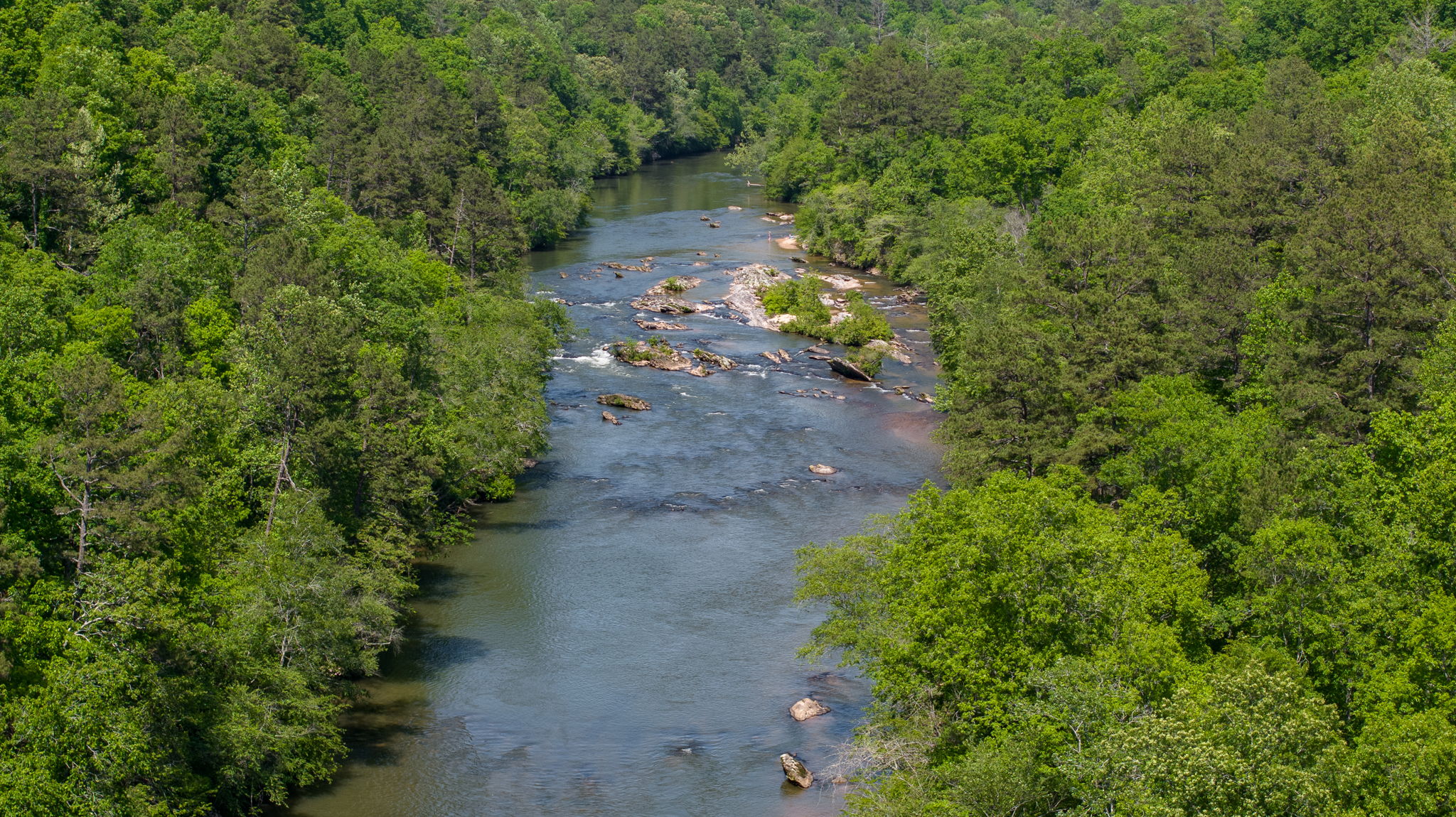 Image-96