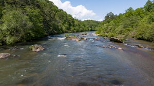 Image-100
